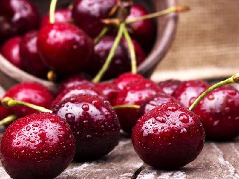 Вишня купить саженцы из питомника в Анапе